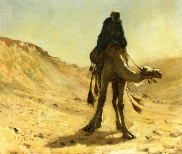 The camel rider